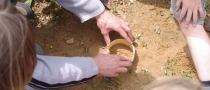 Quelques photos des animations du printemps